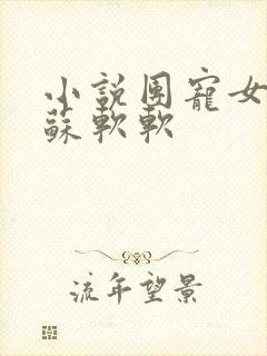 小说团宠女主叫苏软软