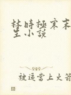 林时极寒末世重生小说