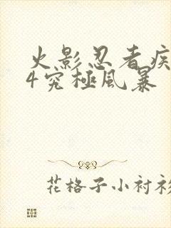 火影忍者疾风传4究极风暴