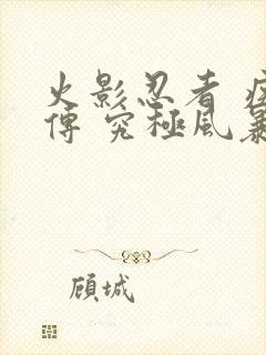 火影忍者 疾风传 究极风暴2下载