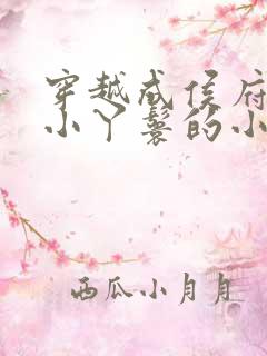 穿越成侯府三等小丫鬟的小说