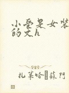 小受是女装大佬的文h