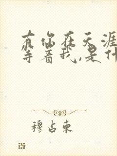 有你在天涯尽头等着我,是什么歌