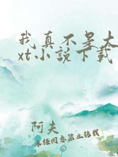 我真不是大佬txt小说下载