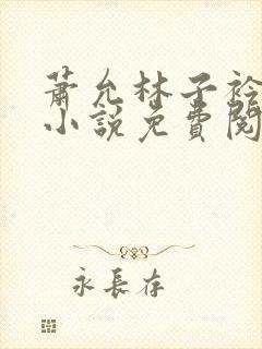 萧允林子衿穿越小说免费阅读无弹窗