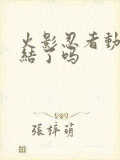 火影忍者动画完结了吗