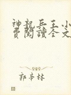 神龙兵王小说免费阅读全文