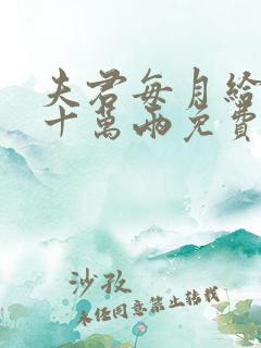 夫君每月给我二十万两免费阅读全文