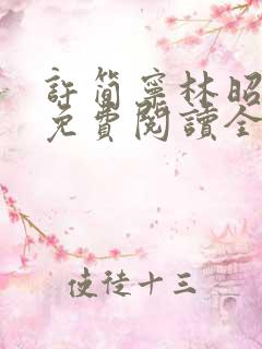 许简宁林昭小说免费阅读全文无弹窗