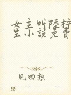 女主叫陆柠的重生小说免费阅读