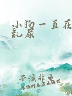 小狗一直在家里乱尿