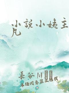 小说小姨主角叶凡