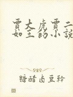 贾大虎贾二虎温如玉的小说名字