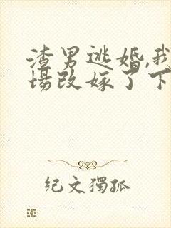 渣男逃婚,我当场改嫁了下载全本txt