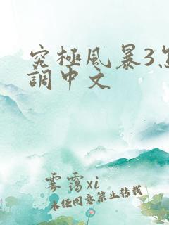 究极风暴3怎么调中文