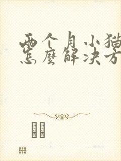 两个月小猫乱尿怎么解决方法