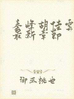 秦峰胡佳云小说最新章节