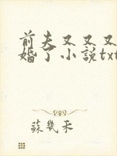 前夫又又又想复婚了小说txt