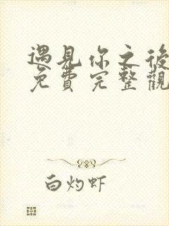 遇见你之后短剧免费完整观看高清