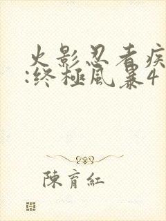 火影忍者疾风传:终极风暴4