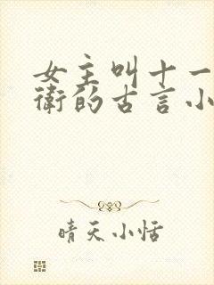 女主叫十一的暗卫的古言小说名字