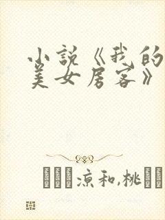 小说《我的绝色美女房客》