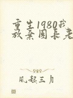 重生1980我放弃团长老婆小说