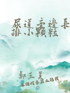 尿道旁边长了一排小颗粒