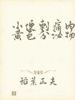 小便刺痛内裤有黄色分泌物