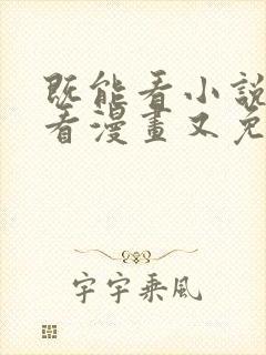 既能看小说又能看漫画又免费的软件