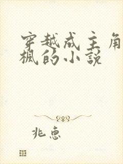 穿越成主角叫叶枫的小说