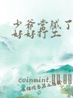 少爷当腻了只想好好打工