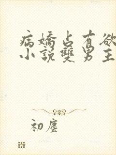 病娇占有欲强的小说双男主