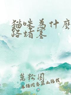 猫咪为什么会尿路堵塞