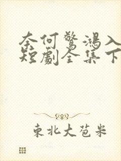 奈何惊鸿入我心短剧全集下载