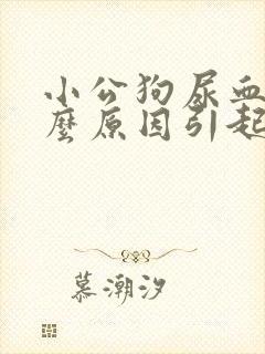 小公狗尿血是什么原因引起的