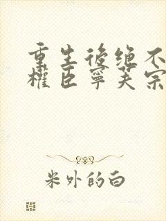 重生后绝不嫁给权臣宁芙宗肆全文小说