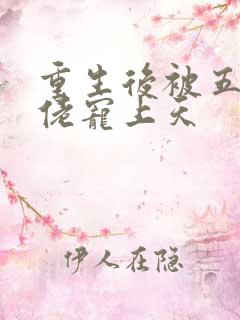 重生后被五个大佬宠上天