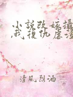 小说改嫁摄政王,我复仇虐渣妹萧怀在线阅