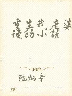 重生我老婆是天后的小说