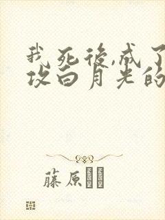 我死后,成了渣攻白月光的背后灵