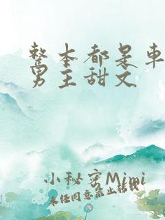 整本都是车的双男主甜文