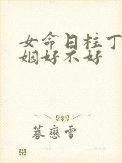 女命日柱丁巳婚姻好不好