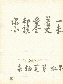 你却爱着一个他小说全文未删减免费