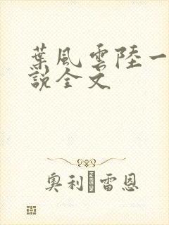 叶风云陆一曼小说全文