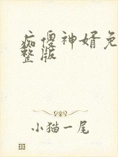 痴傻神婿免费完整版