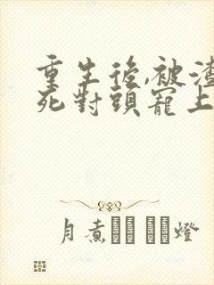 重生后,被渣男死对头宠上天电子书