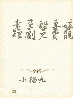 幸孕甜妻嫁对人短剧免费观看