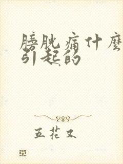 膀胱痛什么原因引起的