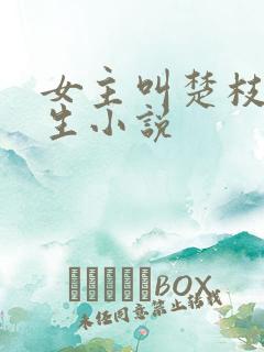 女主叫楚枝的重生小说